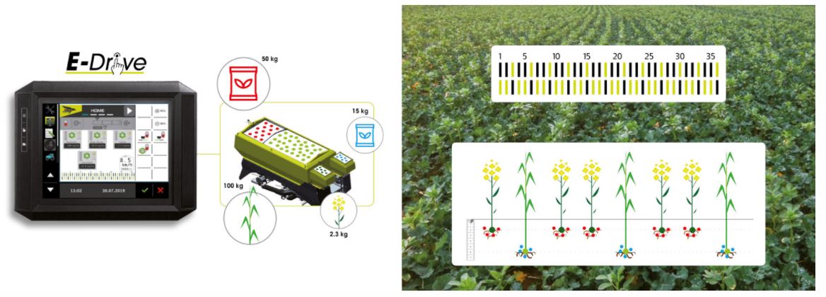 3-4 products seeding